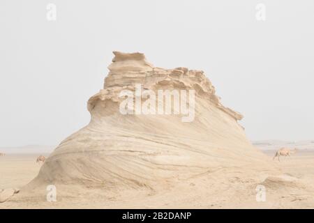 Dunes du désert à Abu Dhabi.Journée de photographie en février 2020. Banque D'Images