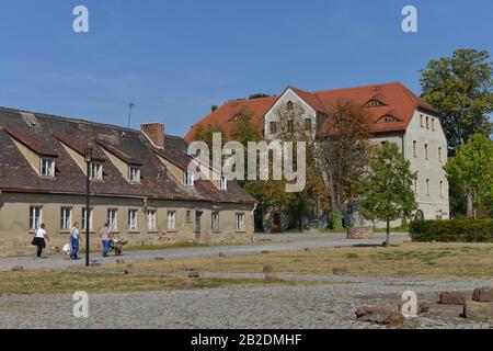 Kloster Helfta, Garlstorf, Sachsen-Anhalt, Allemagne Banque D'Images