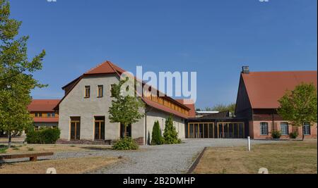 Kloster Helfta, Garlstorf, Sachsen-Anhalt, Allemagne Banque D'Images