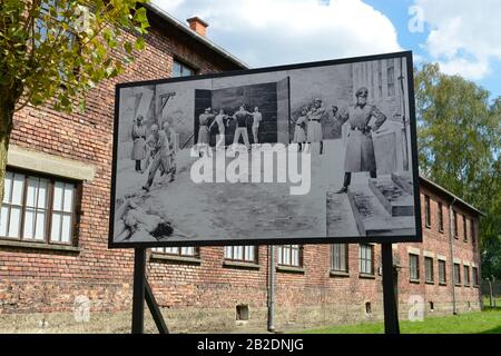 Schwarze Wand, Erschiessungen, bloc 11, Stammlager I, Konzentrationslager Auschwitz-Birkenau,, Auschwitz, Polen Banque D'Images