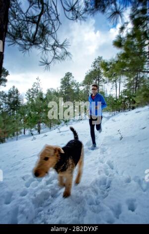 Coureur et son Airdale Terrier qui courir dans la neige sur Mt. Lemmon en hiver Banque D'Images