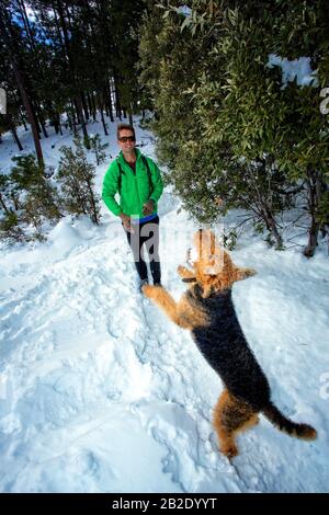 Coureur et son Airdale Terrier qui courir dans la neige sur Mt. Lemmon en hiver Banque D'Images