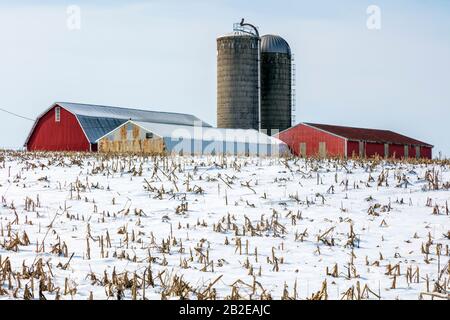 Ferme, grange avec silos, N. Indiana, États-Unis, par James D Coppinger/Dembinsky photo Assoc Banque D'Images