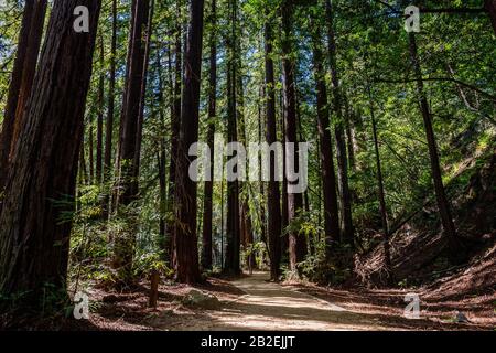 Big Sur, Californie Banque D'Images