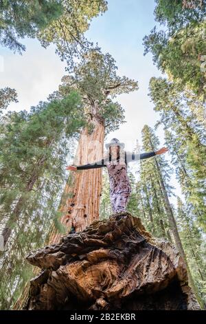 La femme s'équilibre sur une branche tombée de la suite géante, le général Sherman, dans le parc national de Sequoia, tir vertical. Banque D'Images
