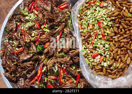 Sauterelles et vers frits sur le marché au Cambodge Banque D'Images