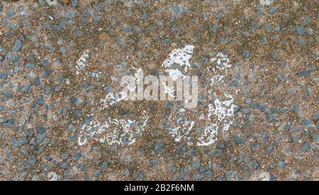 Vingt-neuf peints sur une image de surface en béton rugueux au format horizontal avec espace de copie ont été délavés et délavés Banque D'Images