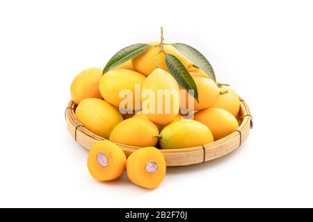 Gros fruits frais de prune marian jaune (Mayongchid en nom thaïlandais) isolés sur fond blanc Banque D'Images