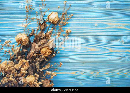 Fleur brune sèche pour la décoration intérieure sur fond en bois bleu clair Banque D'Images