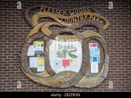 Panneau d'affichage avec cadre en bois sculpté sur le mur du centre d'accueil du parc national de Plessey Woods près de Bedlington, Northumberland Banque D'Images