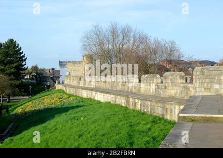 Les murs de la ville de York à Springtime - vue vers le Walmgate Bar avec des jonquilles en fleur sur les remblais Banque D'Images