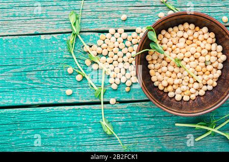 Pousses de pois germés et pois secs sur table en bois Banque D'Images