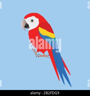 Une illustration d'un macaw rigolo drôle et mignon, style dessin animé Illustration de Vecteur