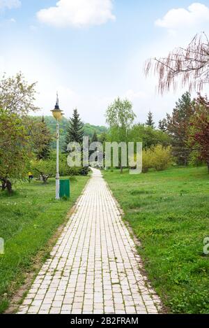 Sentier pédestre à partir de pavés dans le parc public de la ville parmi des arbres et buissons décoratifs, pelouse verte sur un fond bleu ciel nuageux, copie s Banque D'Images