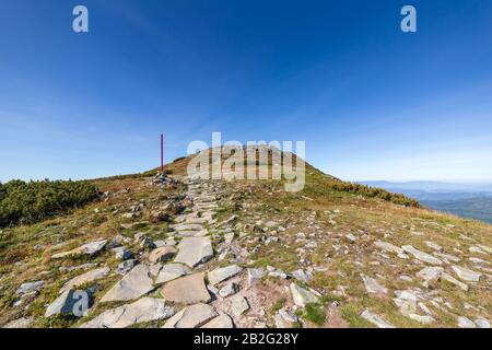 Sentier de randonnée pour la montagne Babia Gora en Pologne, en haut de la colline sous le ciel bleu, le paysage polonais des montagnes Beskid Banque D'Images