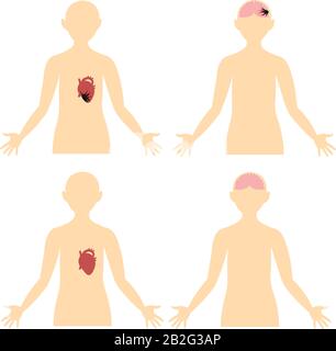 Crise cardiaque, AVC, thrombose. Maladies du cerveau et du cœur. Anatomie. Schéma du corps humain. Illustration de Vecteur