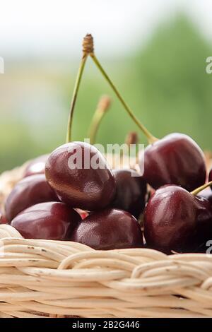 cerises douces dans le bustiquet de paille naturel sur un seuil de fenêtre. Banque D'Images