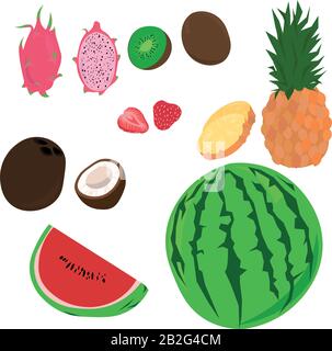 Ensemble de fruits tropicaux vectoriels d'été, de baies et de noix. Entiers et tranchés ??noix de coco, pitaya, ananas, fraise, noix de coco, pastèque. Illustration de Vecteur