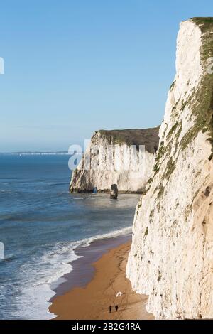 Swyre Head et Bat's Head, Dorset, Angleterre, Royaume-Uni Banque D'Images