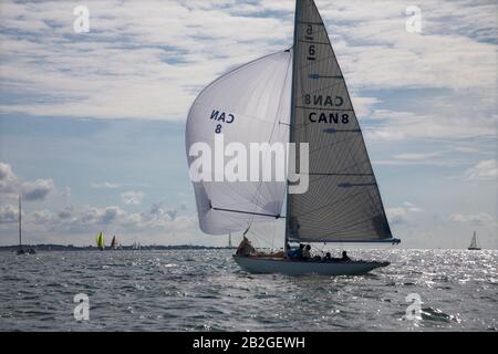 Classic International 6 mètres yacht CAN 8 'Carin II', conçu par Gosta Kyntzell, course dans le Solent off Cowes dans le Centenary Meter Regatta, 2007 Banque D'Images