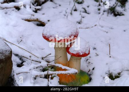 Champignons décoratifs dans le jardin parsemés de neige blanche Banque D'Images