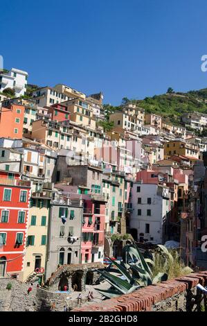 Riomaggiore donne sur la mer dans la province de la Spezia, se trouve dans le parc naturel des Cinque Terre en Ligurie, dans le nord-ouest de l'Italie. Il est inscrit sur la liste du patrimoine mondial de l'UNESCO Banque D'Images