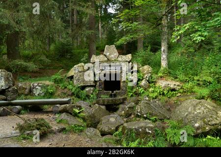 Weißmainquelle, Ochsenkopf, Fichtelgebirge, Oberfranken, Bayern, Allemagne Banque D'Images