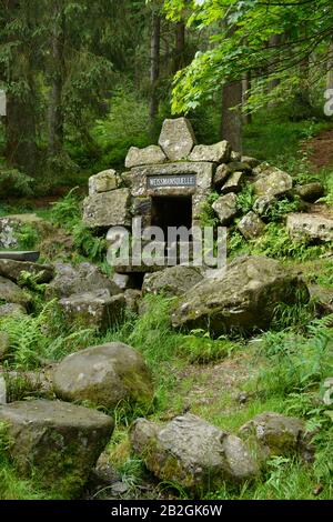 Weißmainquelle, Ochsenkopf, Fichtelgebirge, Oberfranken, Bayern, Allemagne Banque D'Images