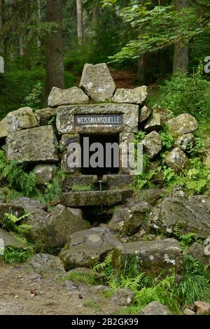 Weißmainquelle, Ochsenkopf, Fichtelgebirge, Oberfranken, Bayern, Allemagne Banque D'Images