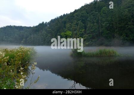 Nebel, Saale, Naturpark Thueringer Schiefergebirge/Obere Saale, Thuringe, Allemagne Banque D'Images