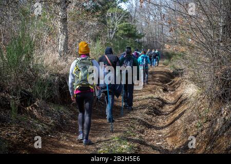 Rocca di Papa, Italie - 29 février 2020: Groupe de randonneurs marchent sur le chemin dans les bois, entre le hêtre et les châtaigniers. Banque D'Images