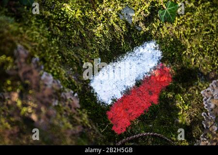 Signe du sentier forestier, fait à la main avec de la peinture blanche et rouge sur la roche couverte de mousse. Banque D'Images