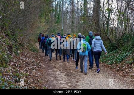 Rocca di Papa, Italie - 29 février 2020: Groupe de randonneurs marchent sur le chemin dans les bois, entre le hêtre et les châtaigniers. Banque D'Images