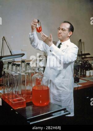 Jonas SALK (1914-1995) chercheur médical américain qui a développé un pof le premier vaccin contre la poliomyélite. Banque D'Images