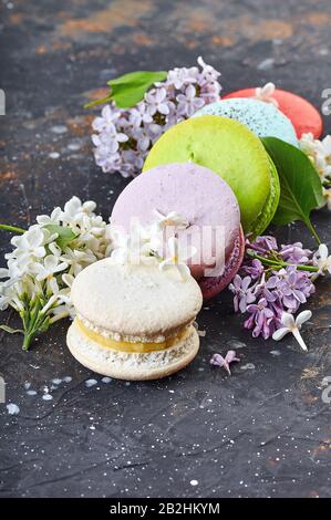 Macarons colorés multicolores sur un fond de ciment coloré à côté des fleurs lilas gros plan Banque D'Images