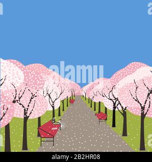 Concept de printemps. Cerisiers en fleurs, allée, jardin de la ville Illustration de Vecteur