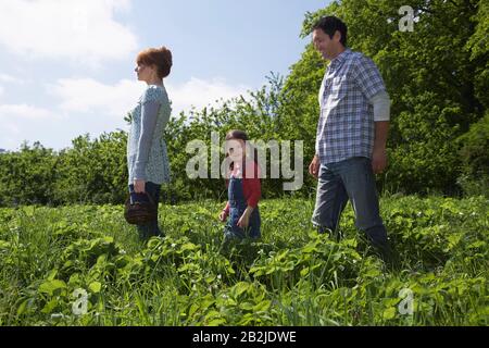 Parents et fille (5-6) dans le champ de fraises Banque D'Images