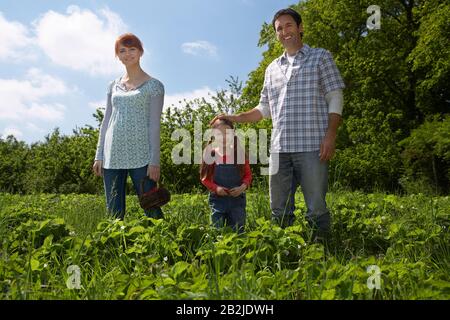 Parents et fille (5-6) en portrait de champ de fraise Banque D'Images