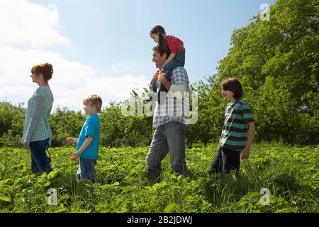 Parents et enfants (5-9) dans une rangée de champs de fraises Banque D'Images