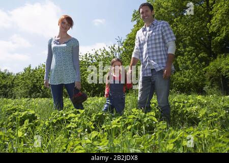 Parents et fille (5-6) en portrait de champ de fraise Banque D'Images