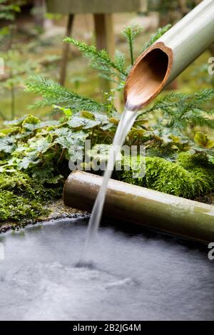 L'eau s'écoule à partir de la pipe du bambou Banque D'Images