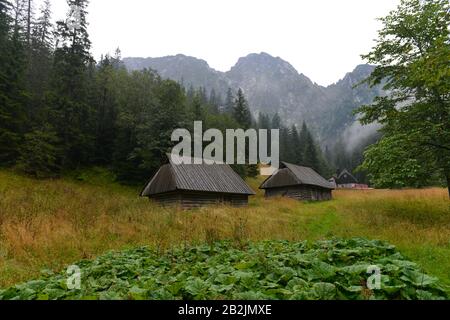 Holzscheunen, Giewont, Zakopane, Pologne Banque D'Images