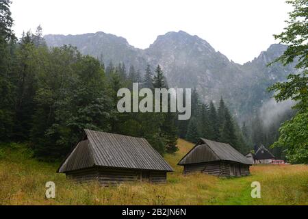 Holzscheunen, Giewont, Zakopane, Pologne Banque D'Images