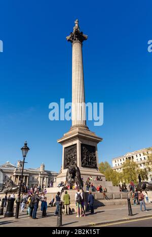 La colonne Nelson à Trafalgar Square, London, England, UK Banque D'Images