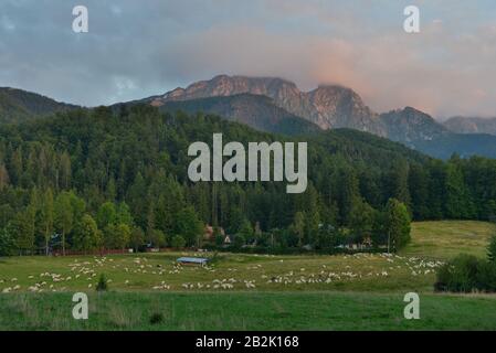 Berg Giewont, Hohe Tatra, Polen Banque D'Images