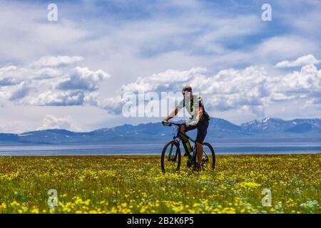 Un cycliste se déplace à l'extérieur. Il voyage le long d'un champ fleuri. Lac de haute montagne Sonkul. Kirghizstan Banque D'Images