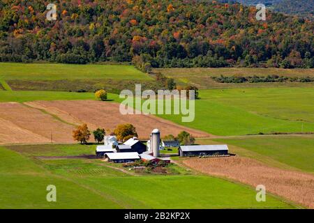 Une petite ferme laitière familiale dans le comté de Bradford, en Pennsylvanie Banque D'Images