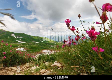 Chemin Stony vers les montagnes à travers le passage Fisht-Oshten. République d'Adygea de Russie Banque D'Images