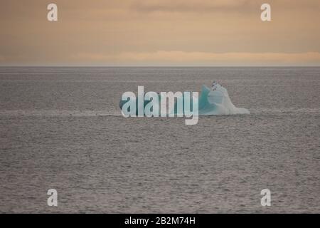 Glace flottante au Spitsbergen, fonte des glaciers Banque D'Images