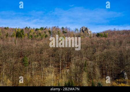 Allemagne, De Beaux arbres colorés en haut de la forêt dans le jura souabe paysage naturel entourant les rochers blancs avec randonneurs assis sur le dessus le jour ensoleillé Banque D'Images